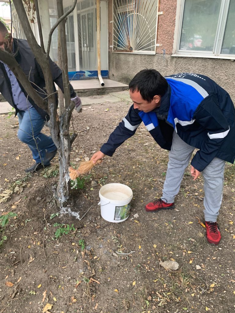 Всемирный день чистоты «Сделаем! 2019»